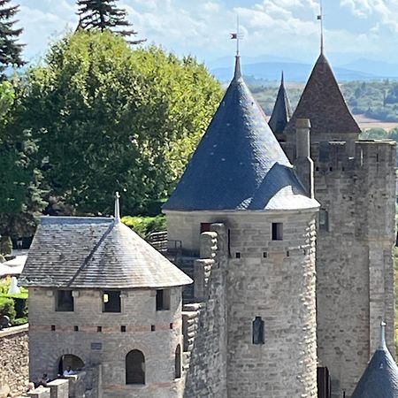 Appartement Tres Calme, Rdc, 800 M De La Cite Medievale Classee Au Patrimoine De L'Unesco Каркассонн Екстер'єр фото