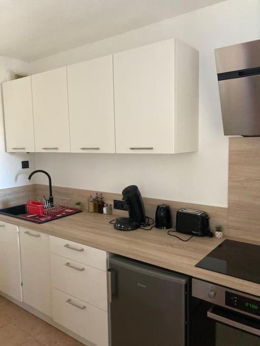 Appartement Tres Calme, Rdc, 800 M De La Cite Medievale Classee Au Patrimoine De L'Unesco Каркассонн Екстер'єр фото